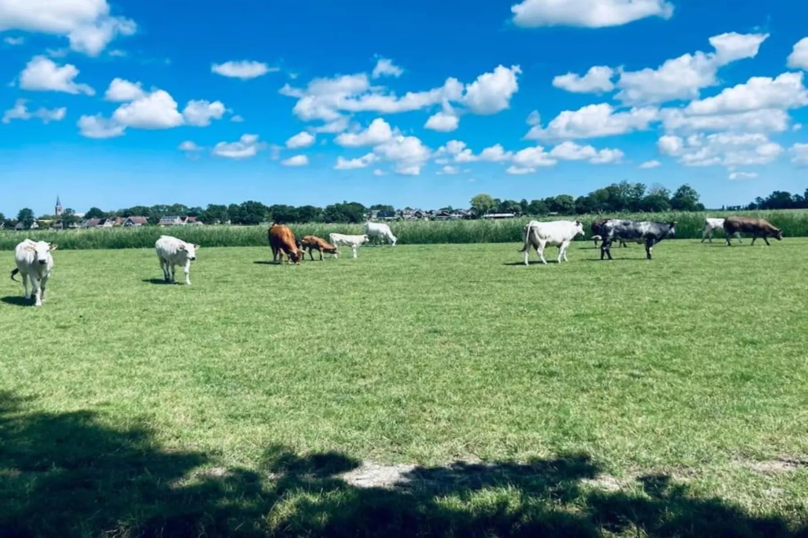 Huisje 'In de Tuin' A en B-Gebieden zomer 20km