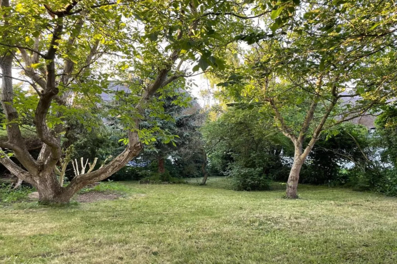 Schoene Wohnung im reetgedachten Bauernhaus-Gebieden zomer 20km