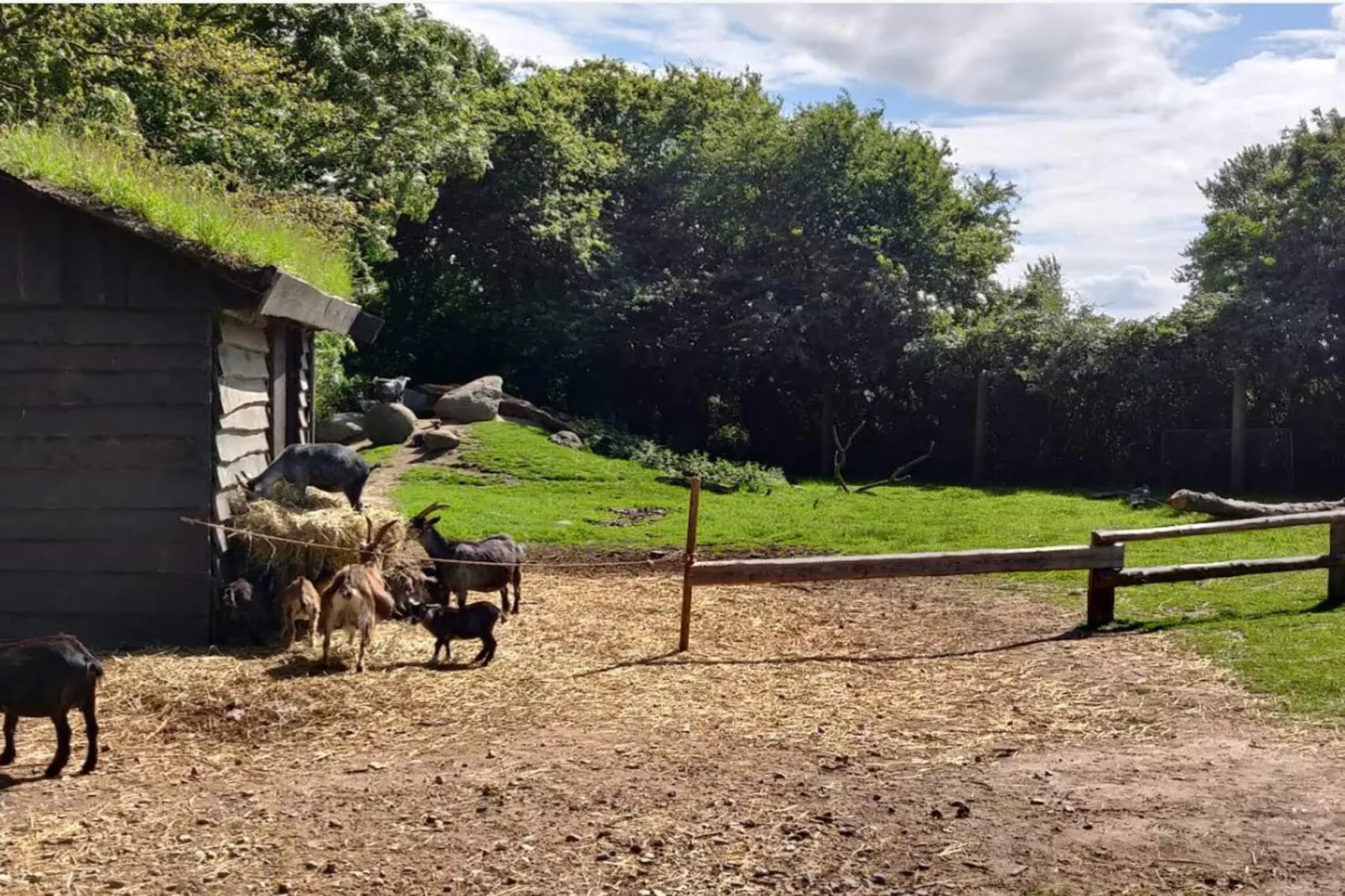 4 persoons vakantie huis in Grevinge-By Traum-Niet-getagd