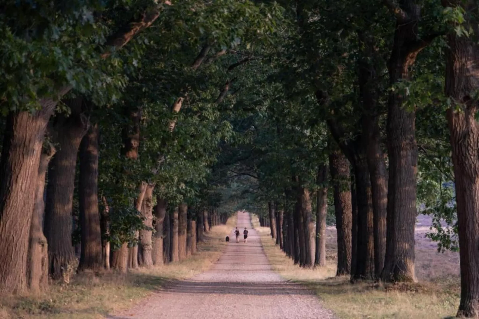 Buitenplaats Holten 20-Gebieden zomer 20km