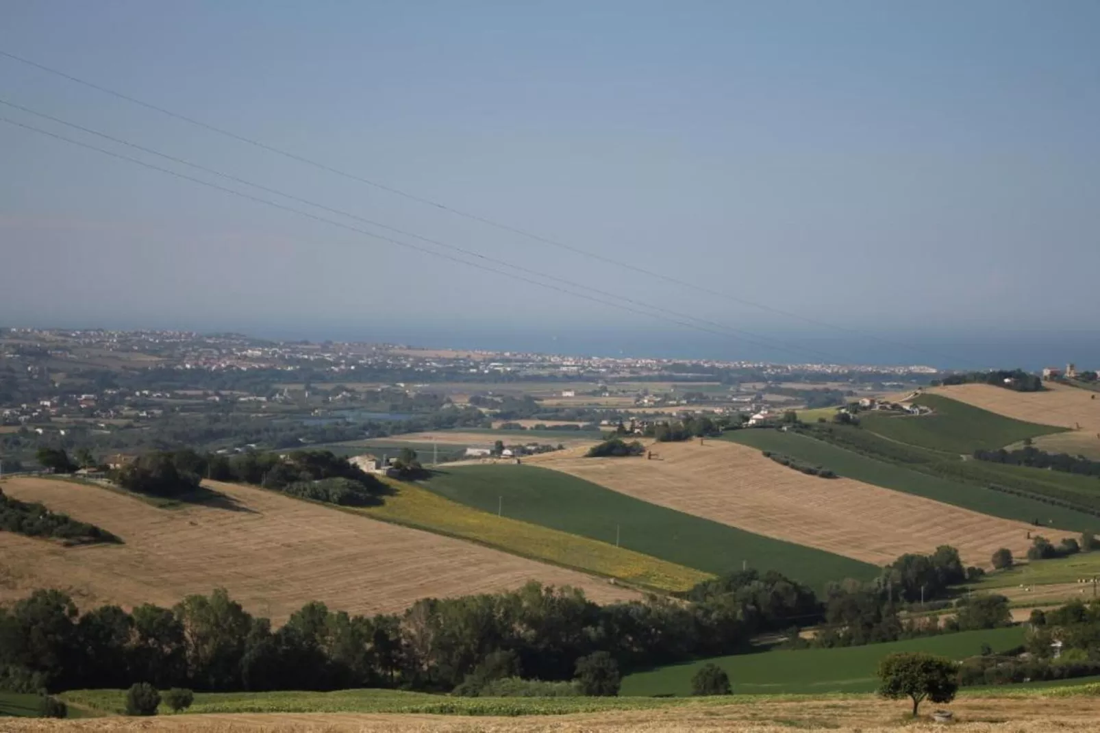 Olio-Gebieden zomer 20km