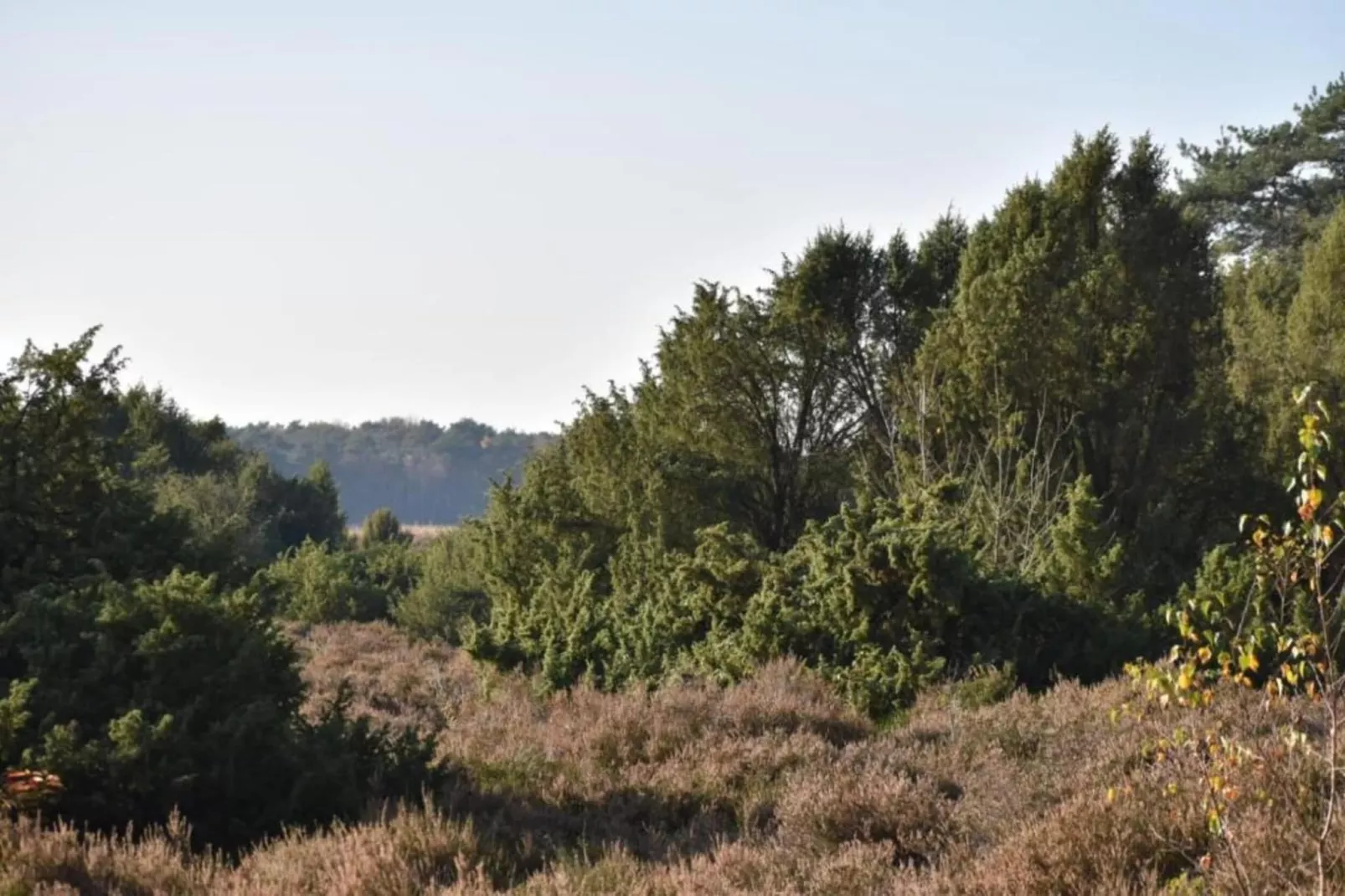 De Ploeg 6P-Gebieden zomer 20km