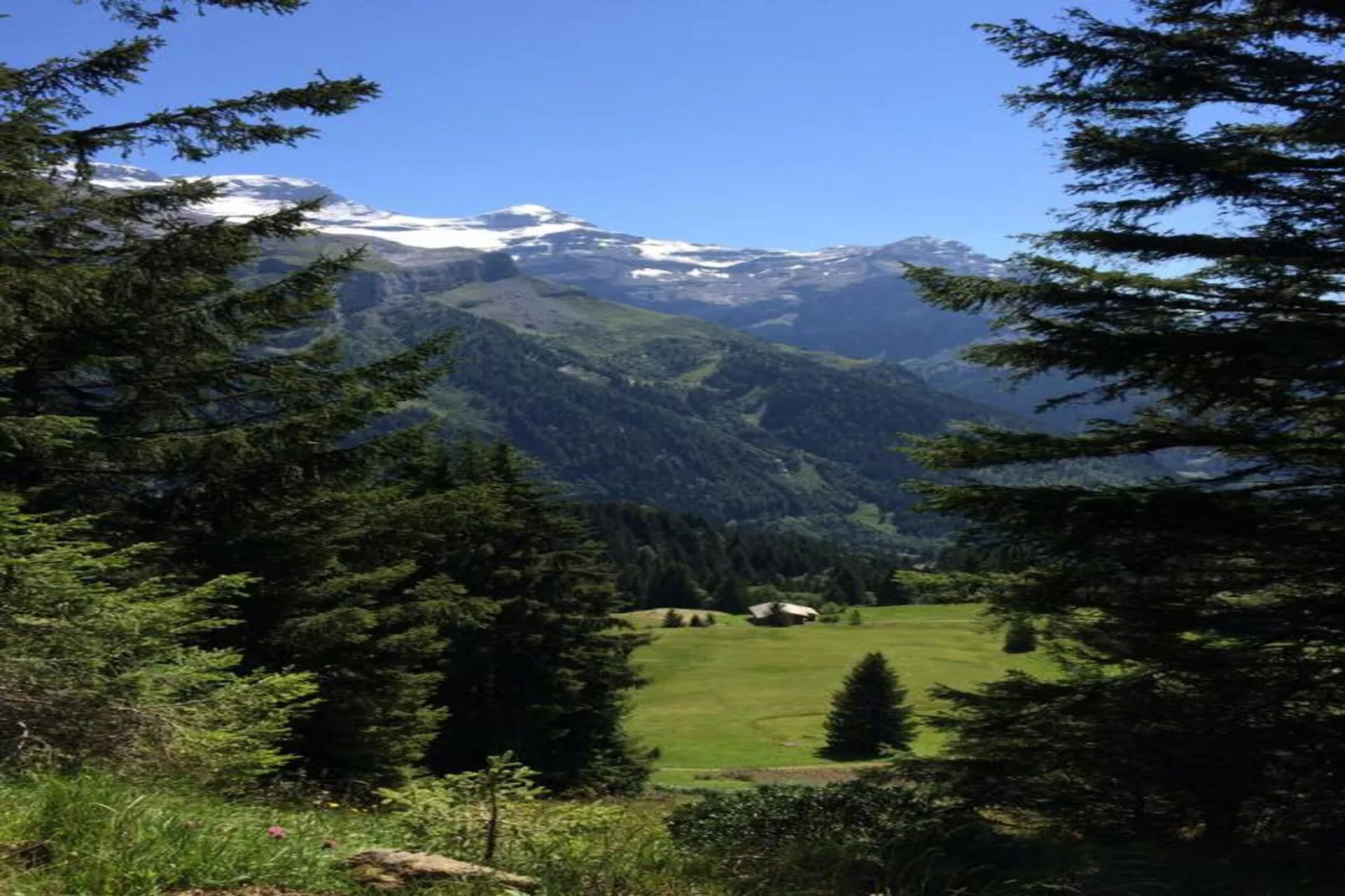 Gstaad Luxurious flat with terrace & stunning views-Tuinen zomer
