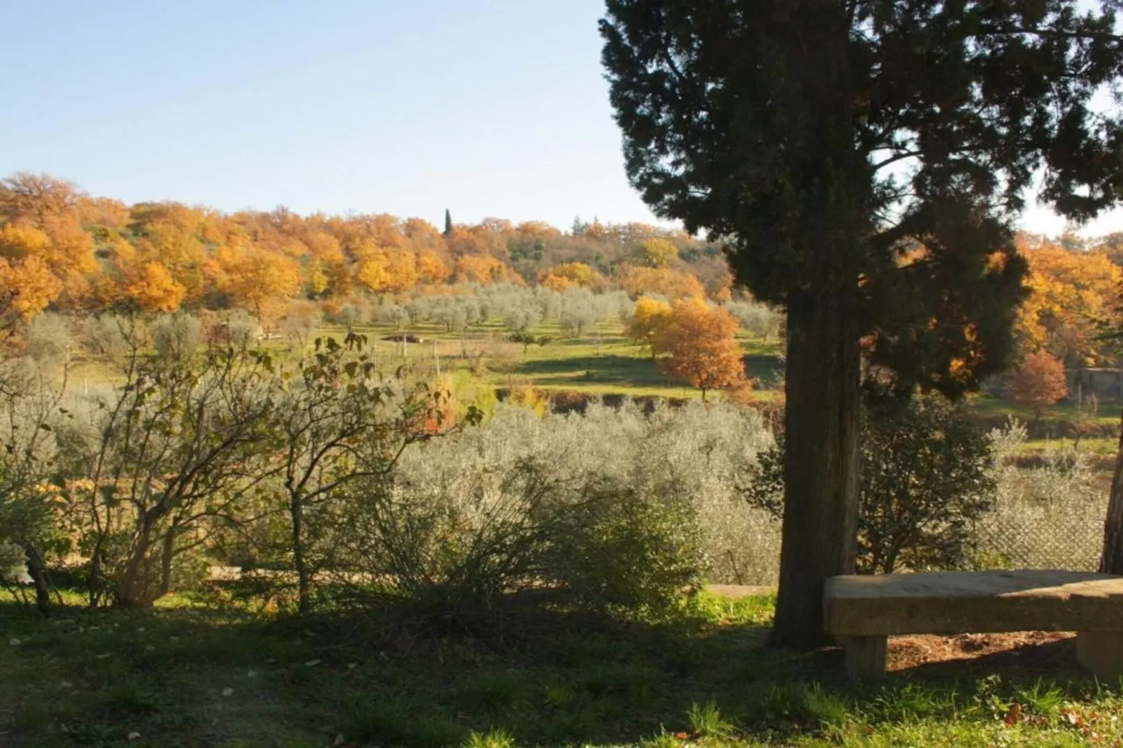 Abete-Gebieden zomer 20km