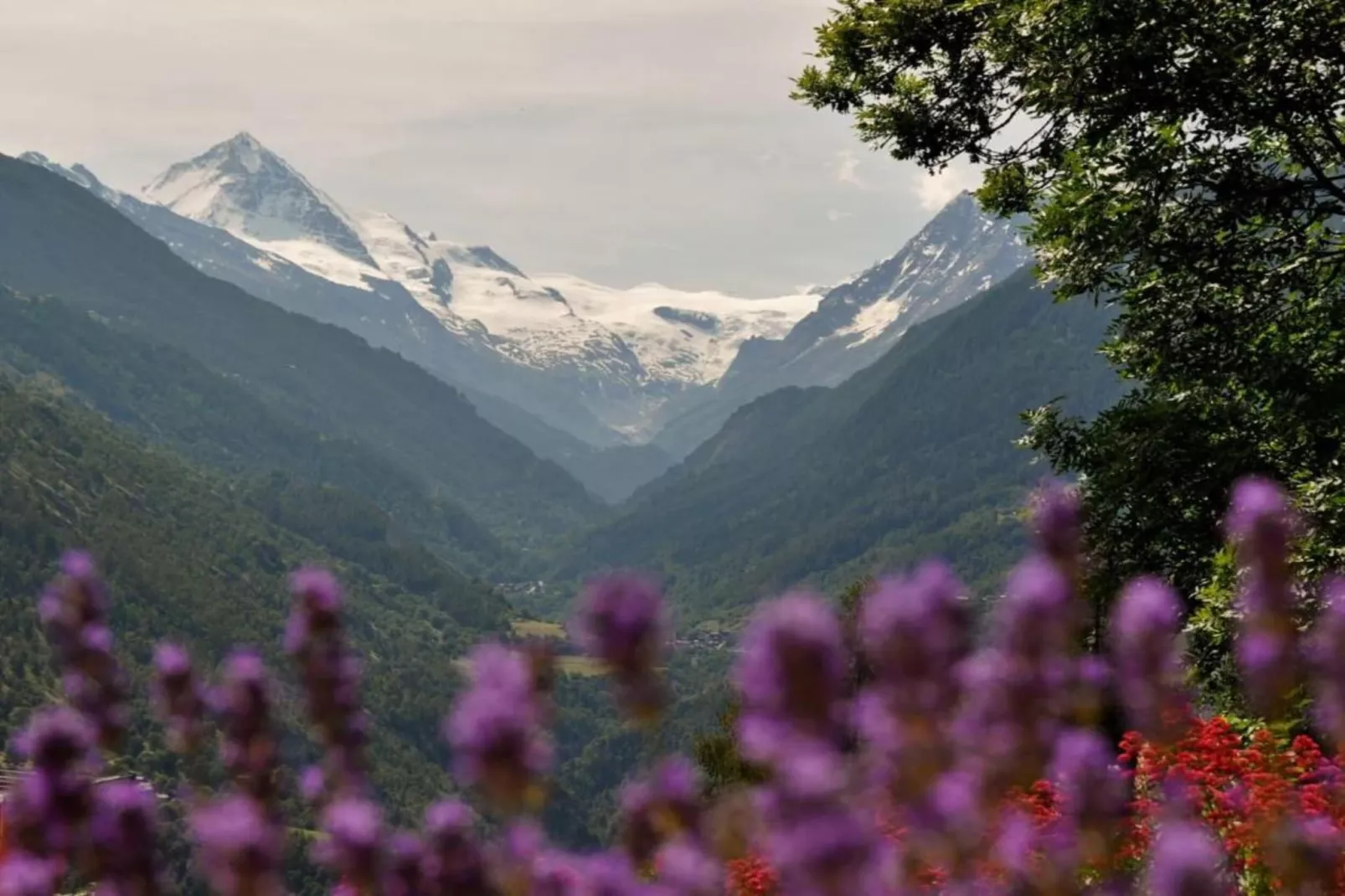 Mayens de l'Ours CZ 031 - MOUNTAIN apartment 6 per-Gebieden zomer 5km