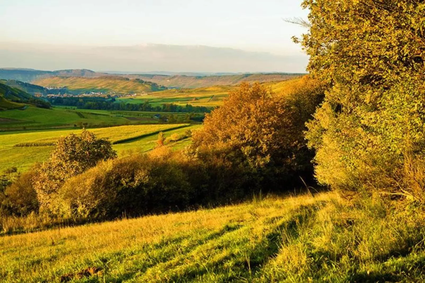 Ferienhaus der Saison an der Mosel-Gebieden zomer 20km