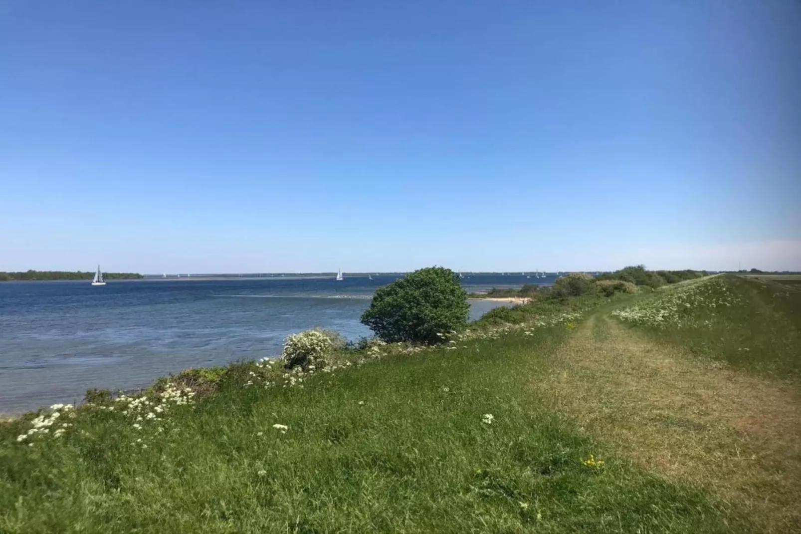 B&B de Gouwe Tijd-Gebieden zomer 20km