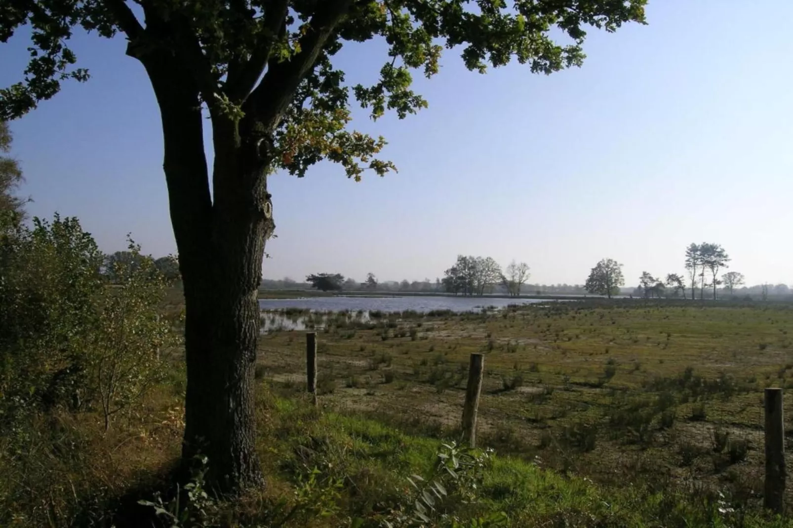 Ranger Lodge-Gebieden zomer 20km
