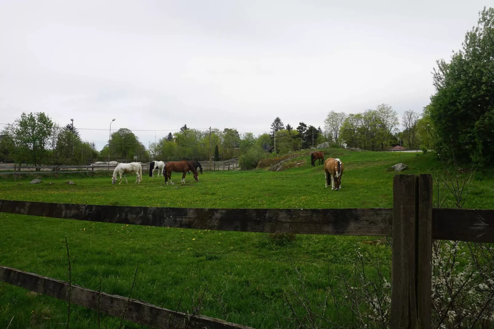 7 persoons vakantie huis in Djursholm-By Traum-Niet-getagd