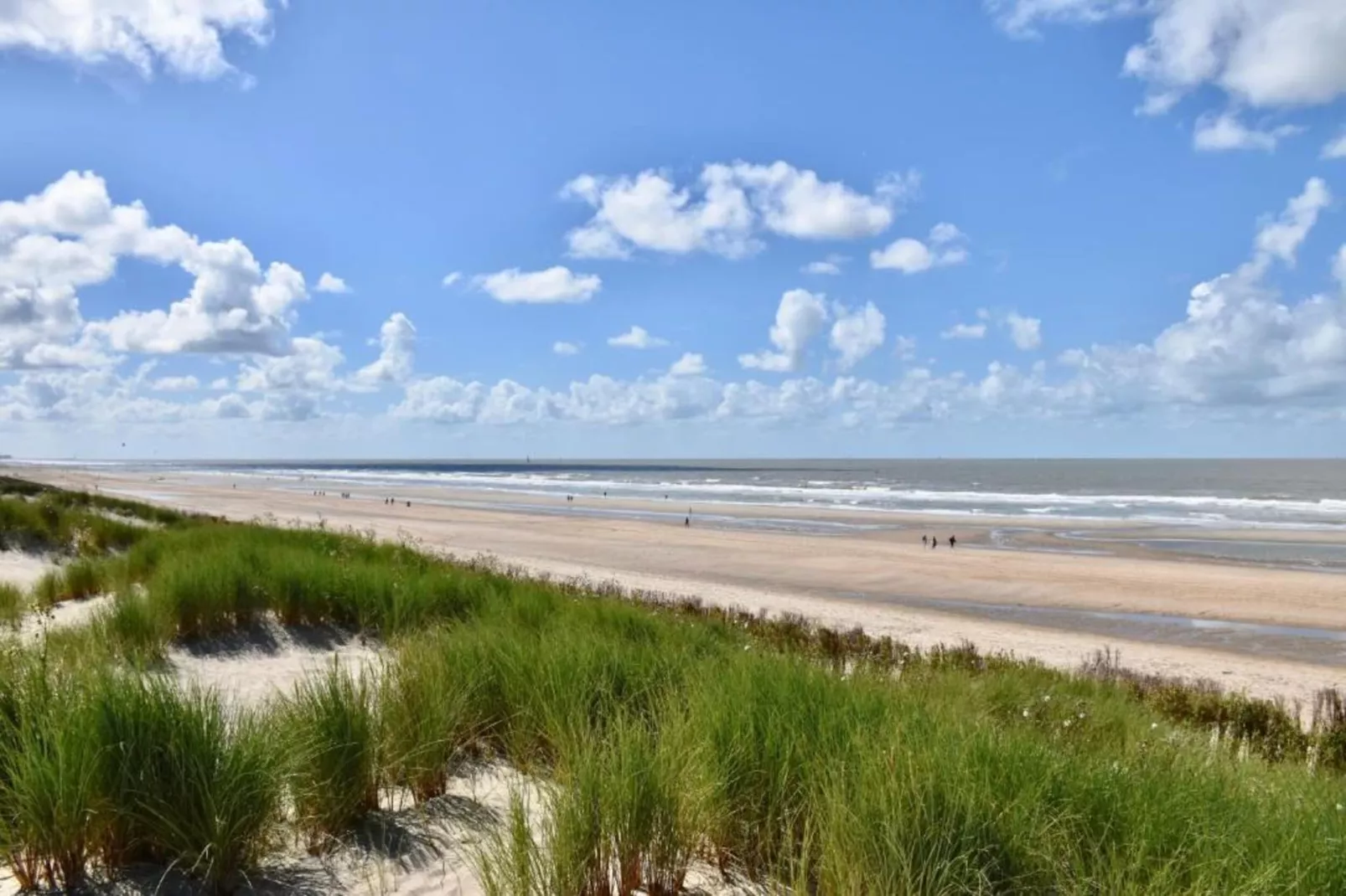 Residentie Welcome 0701-Gebieden zomer 20km