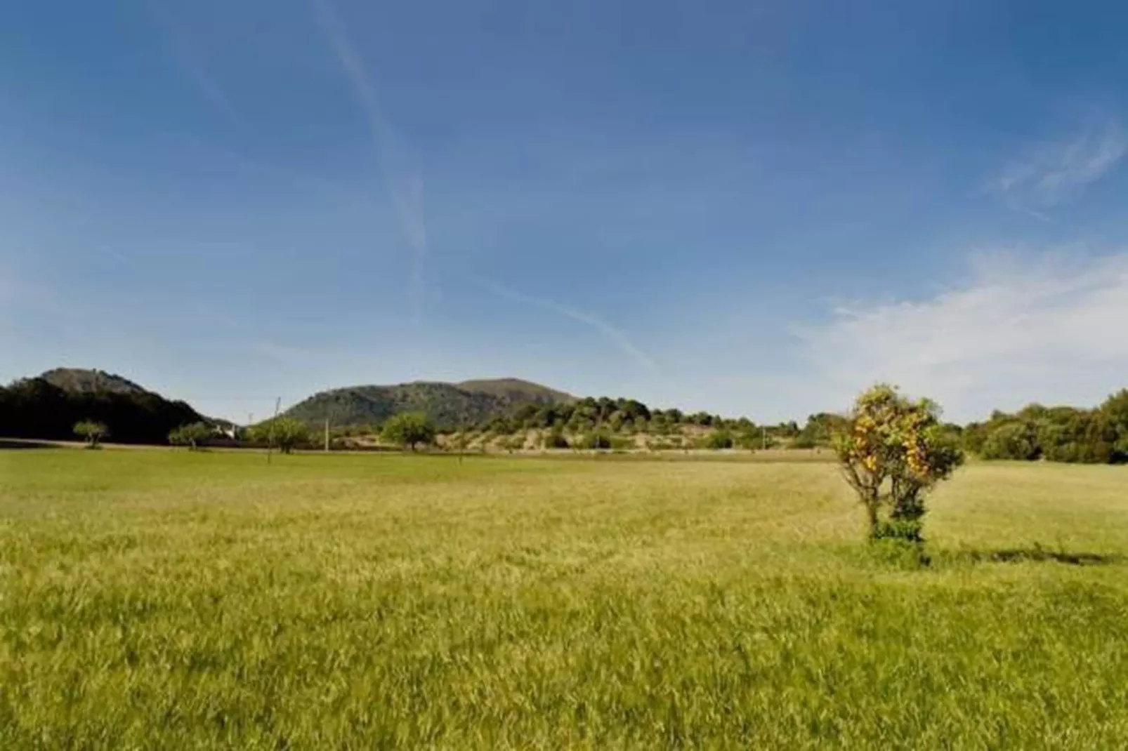 Finca Na Babayana-Gebieden zomer 20km