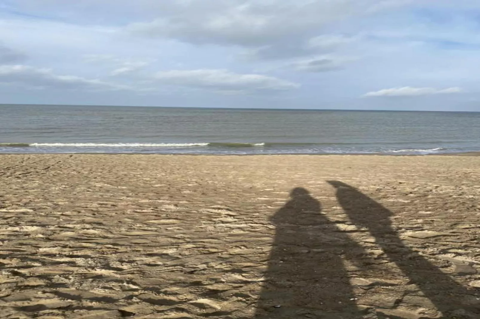 VIKING06 20803/ 8G-Gebieden zomer 20km