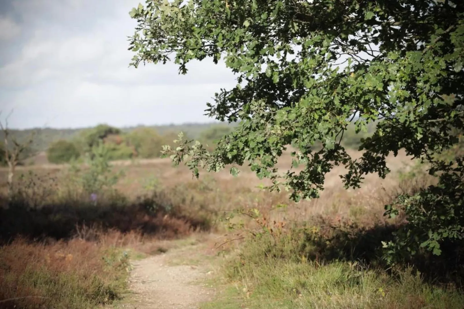 Vlindervallei Villa 8p-Gebieden zomer 5km