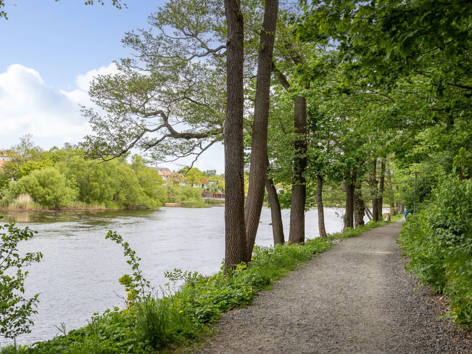 Måsalycke-Buiten