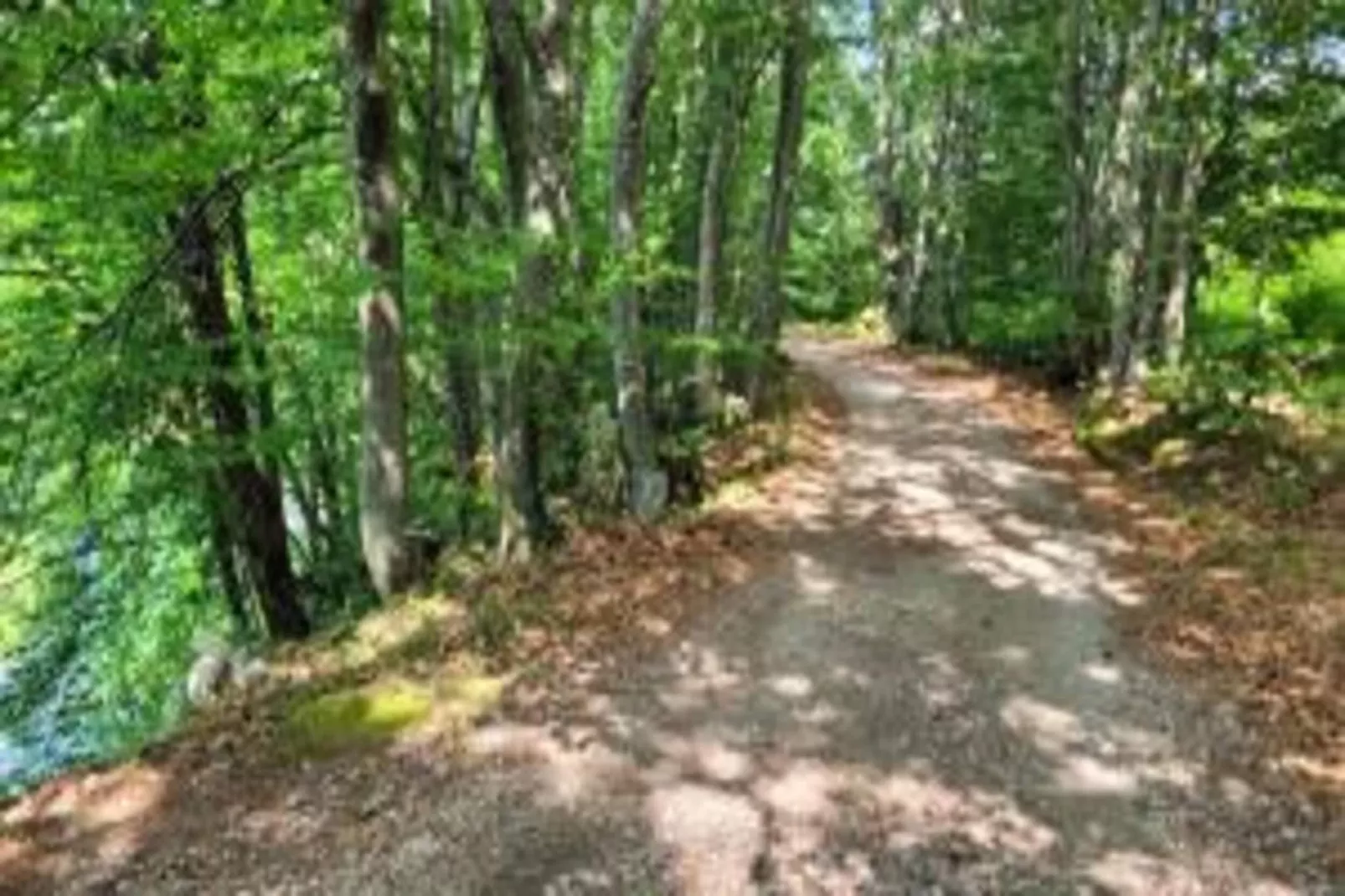 Apartments Torina Pašman - A1-Gebieden zomer 20km