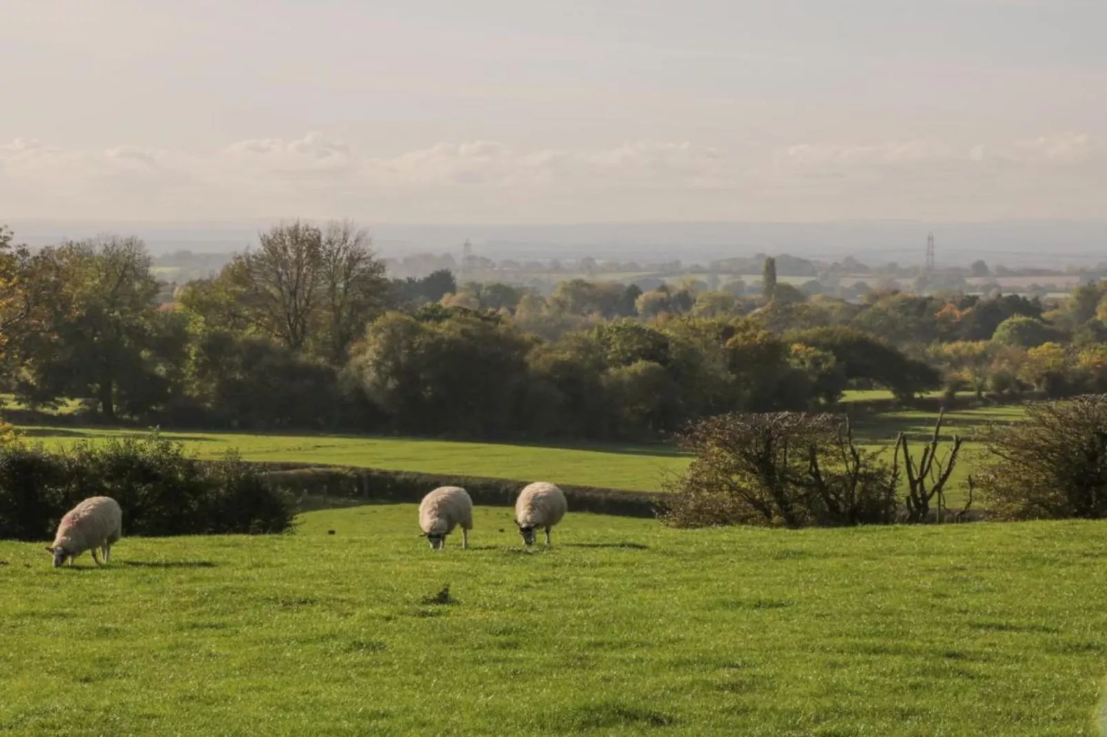 Ryedale Hall Cottage-Gebieden zomer 5km