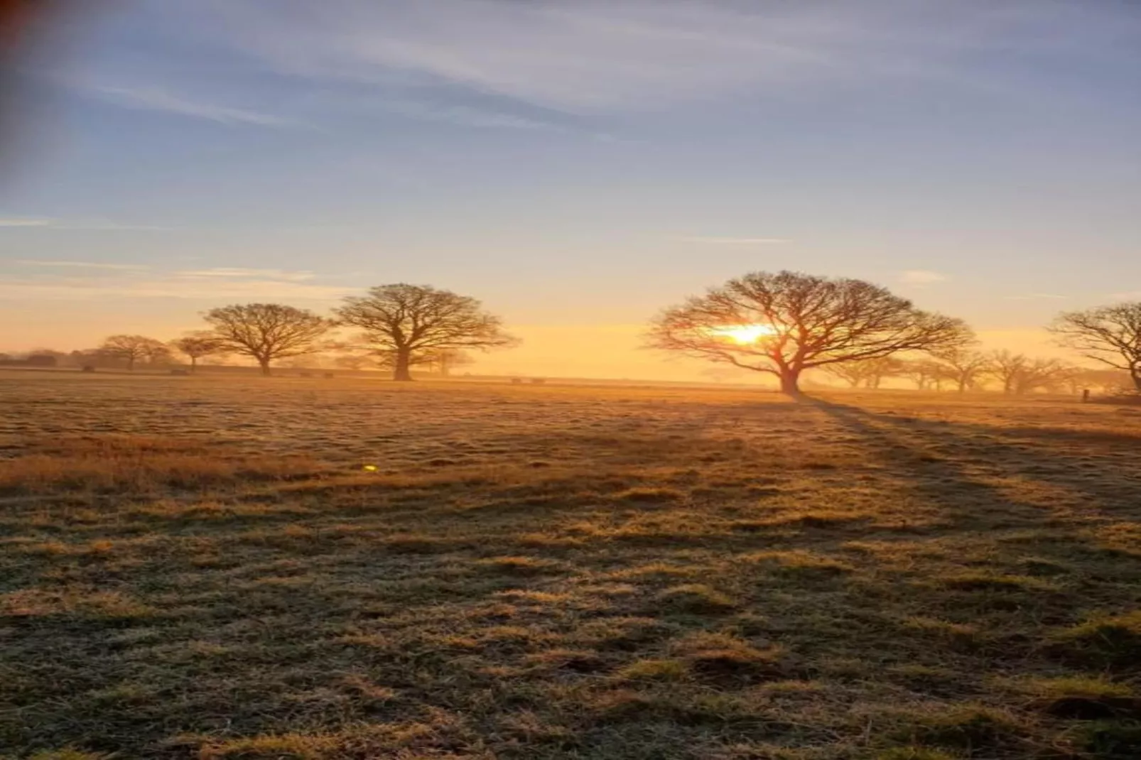 Netley Hall - Peach Tree-Gebieden zomer 5km