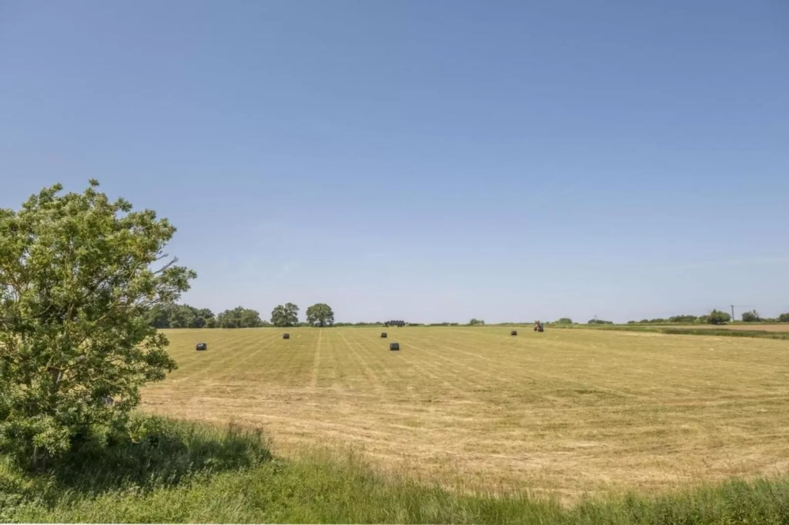 Bulrush Bell Tent-Gebieden zomer 5km