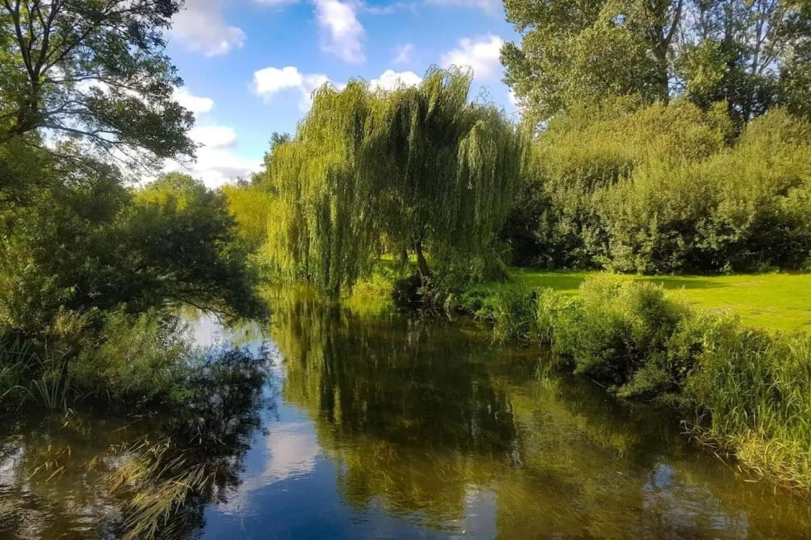 Lilypad Bell Tent-Gebieden zomer 20km