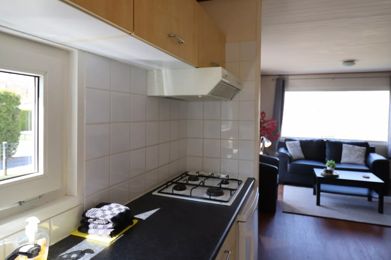 2 chalets naast elkaar-Keuken