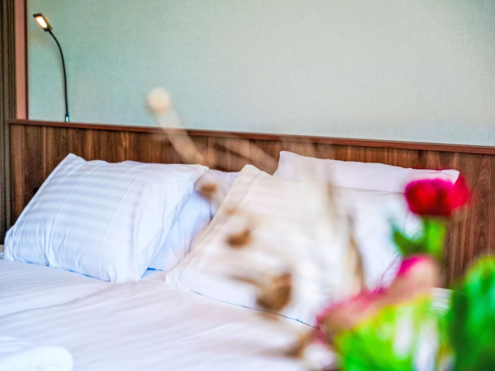 Zen Kitchen & Boutique Hotel-Binnen