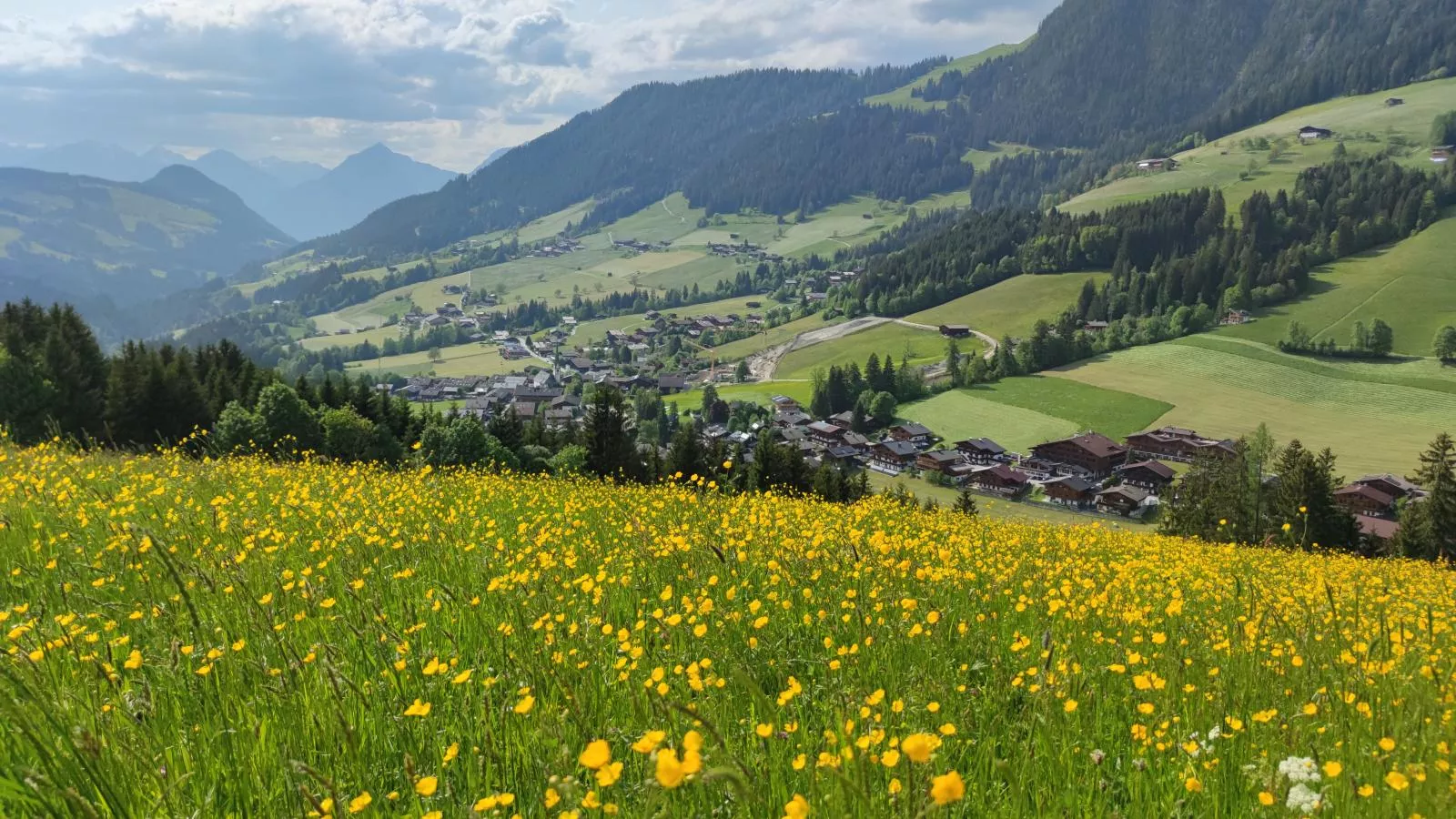 Chalet Mountain View-Uitzicht zomer