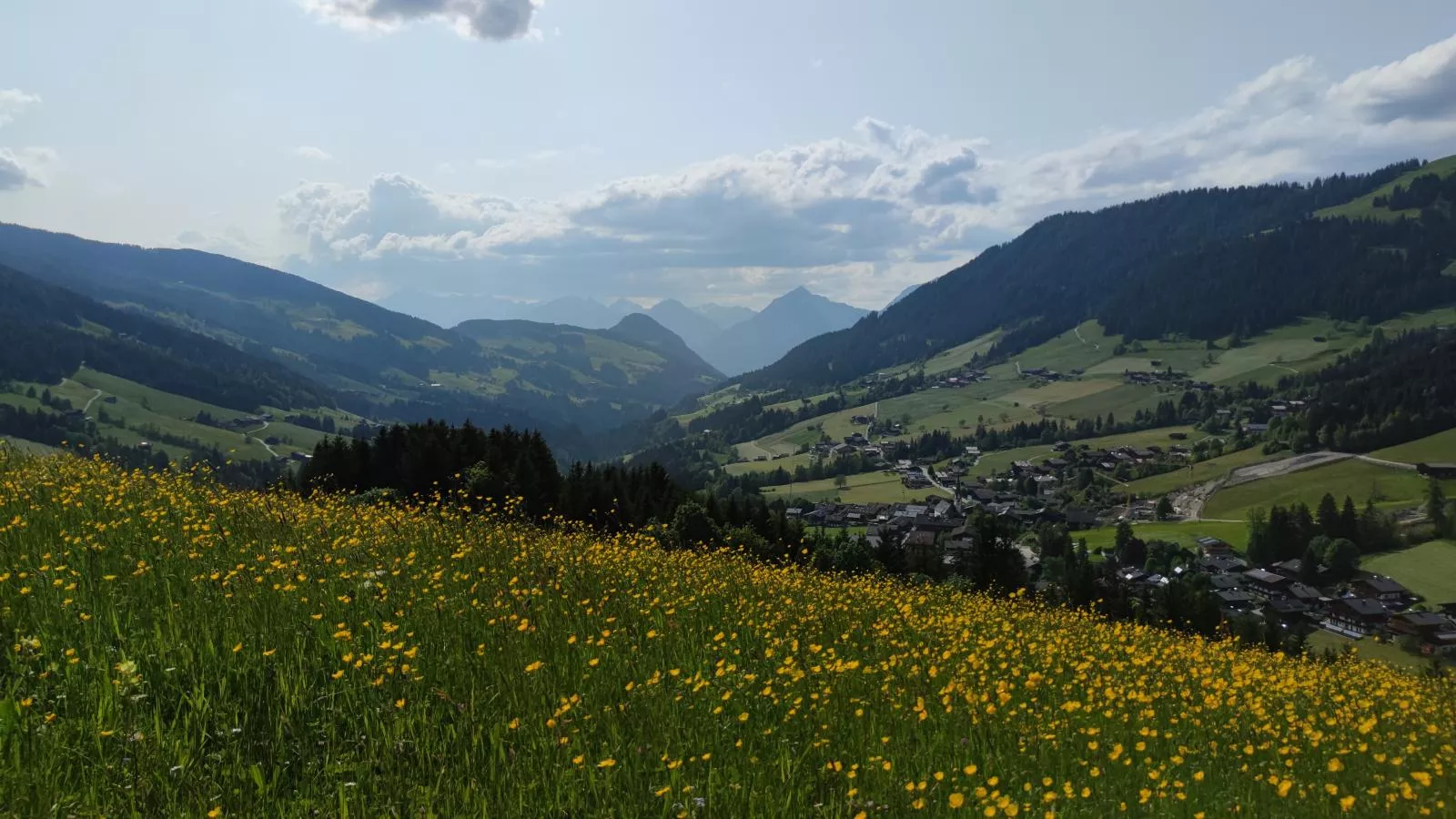 Chalet Mountain View-Uitzicht zomer