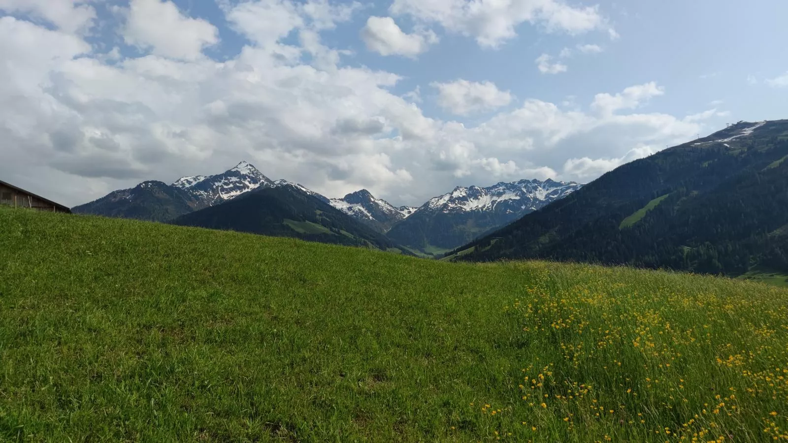 Chalet Mountain View-Uitzicht zomer