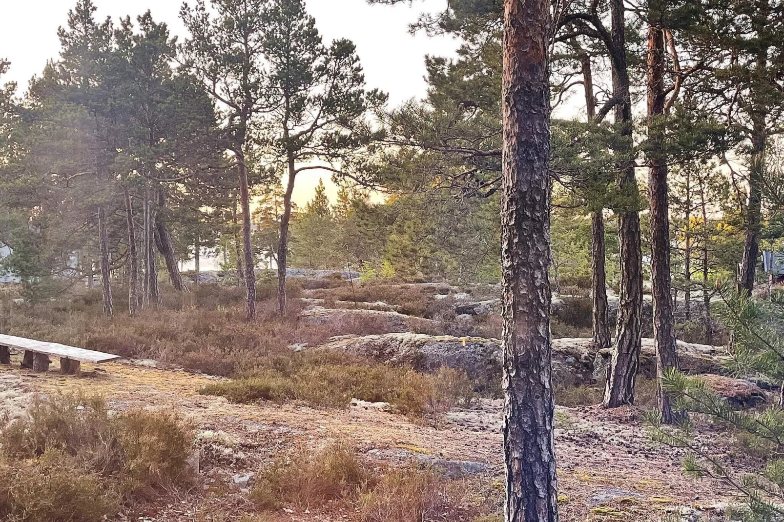 10 persoons vakantie huis in MÖJA-By Traum-Niet-getagd