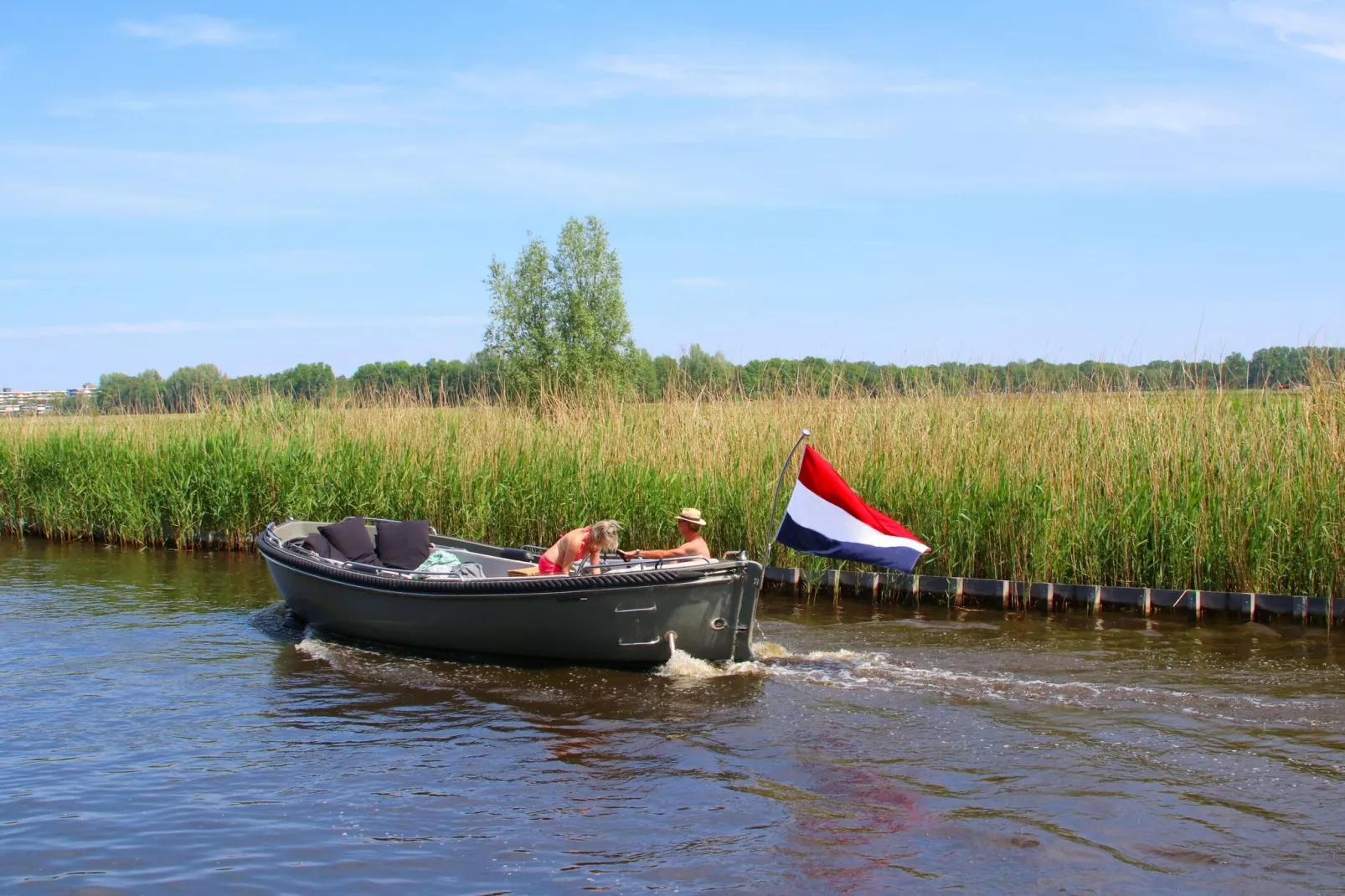 Dijkhuys-Gebieden zomer 1km