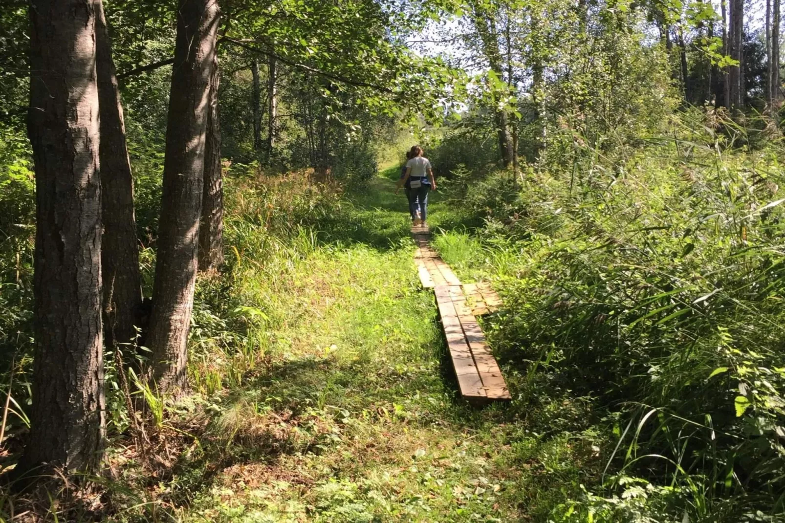 8 Personen vakantie huis in Ärla-Buitenlucht