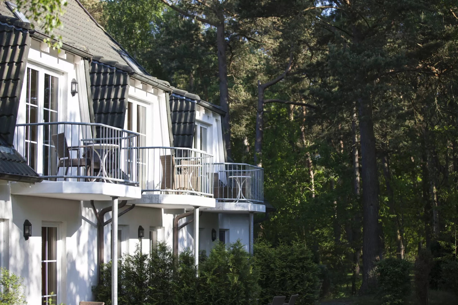 Gartenferienwohnung - Strandhotel Fischland-Buitenkant zomer