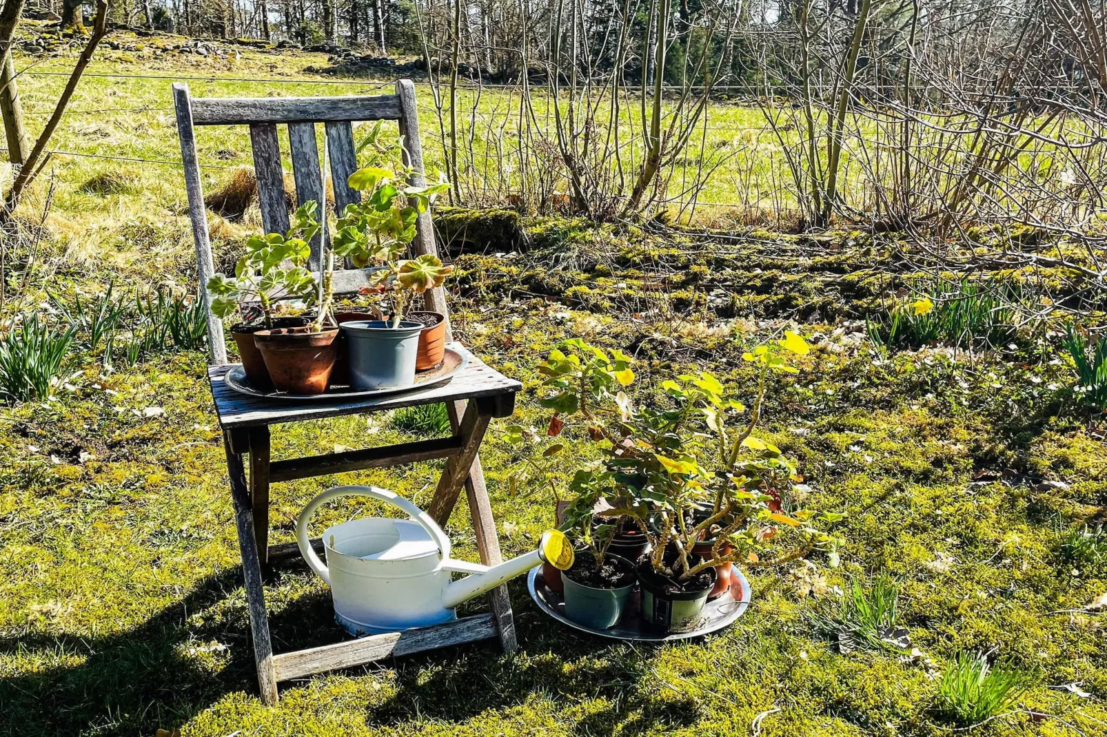 4 sterren vakantie huis in ISTORP-Niet-getagd