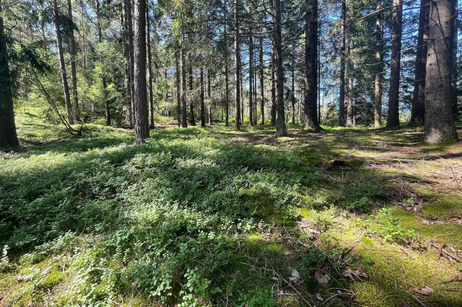 Rustige hut vlakbij het Furufjall-pad-Buitenlucht