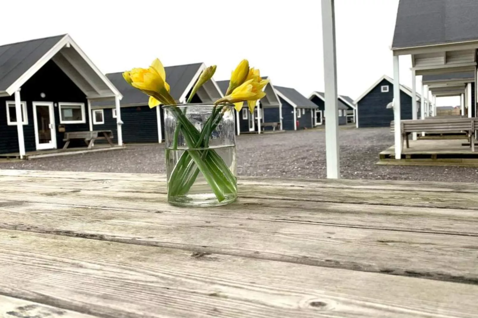 4 sterren vakantie huis in Thyborøn - Buitenlucht