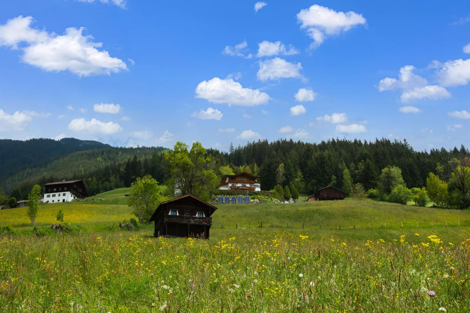 Appart Mount Gilfert View-Gebieden zomer 1km