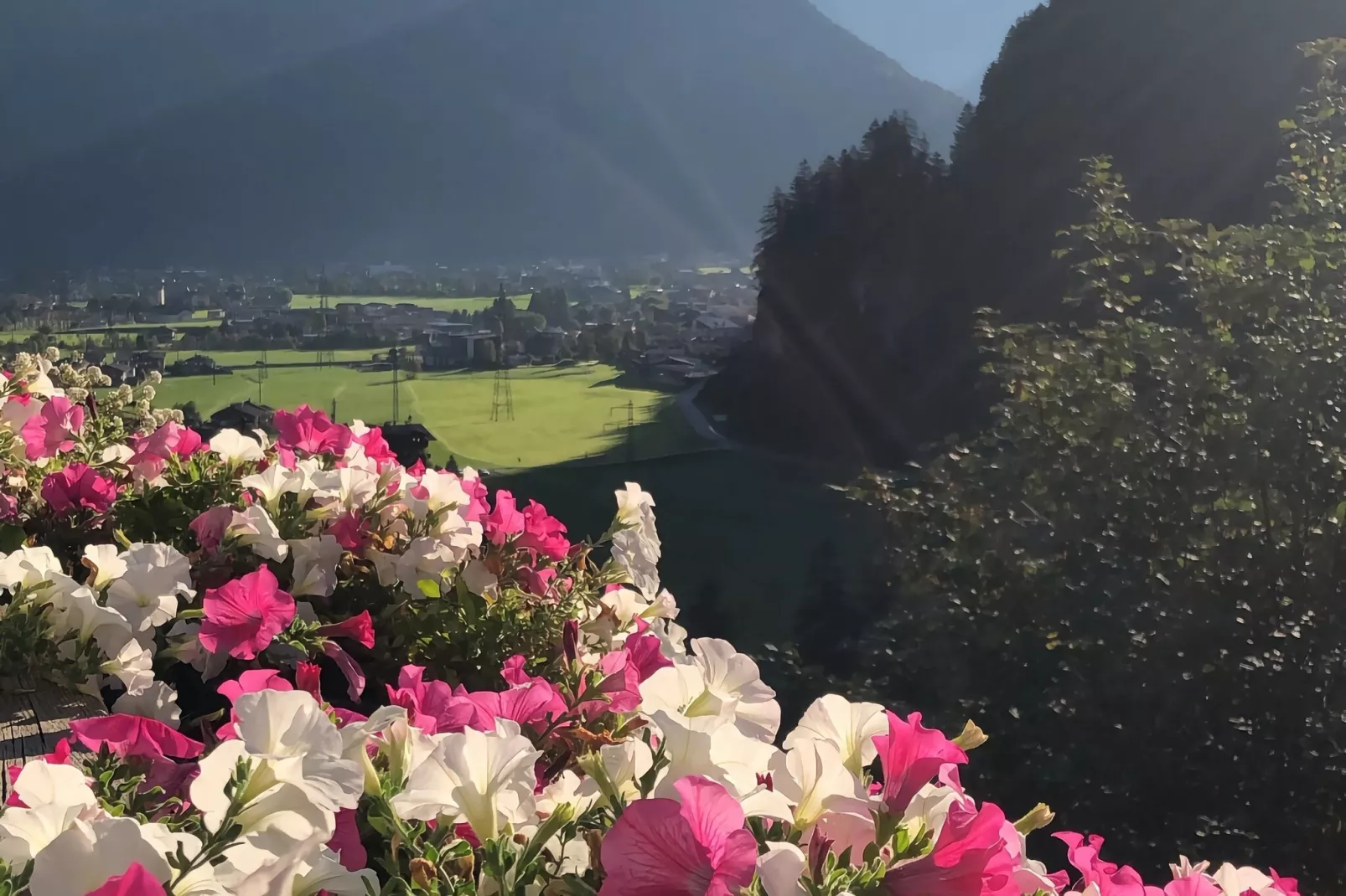 Schmalzl I-Gebieden zomer 20km