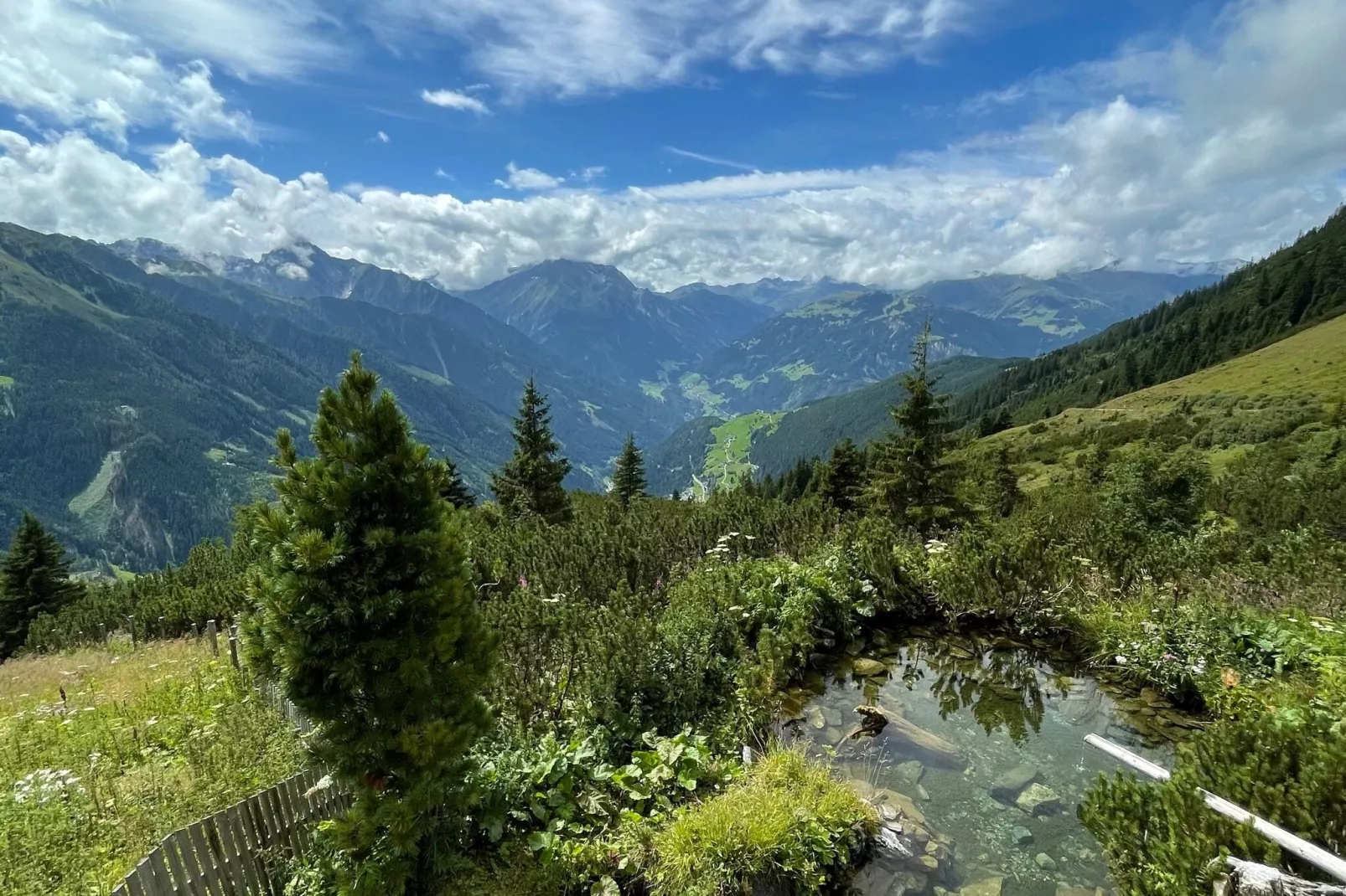 Schmalzl I-Gebieden zomer 20km