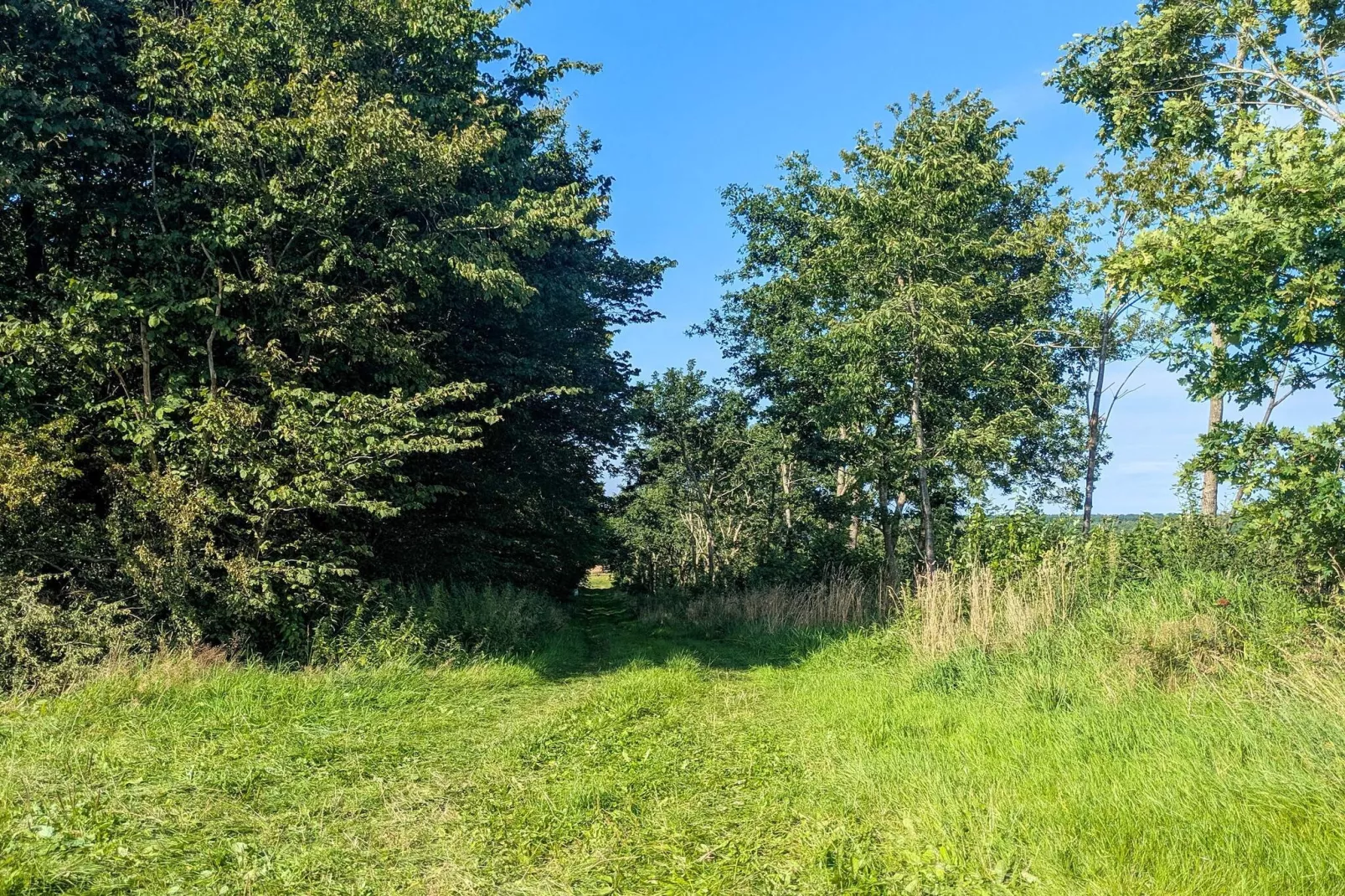 6 Personen vakantie huis in Gram-Buitenlucht