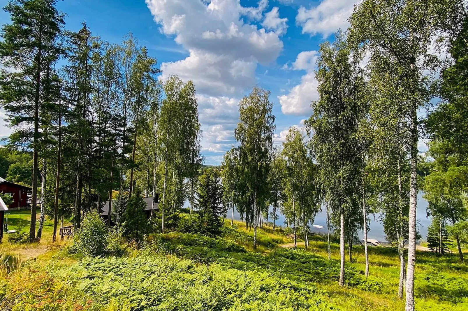 4 sterren vakantie huis in MALMKÖPING-Buitenlucht