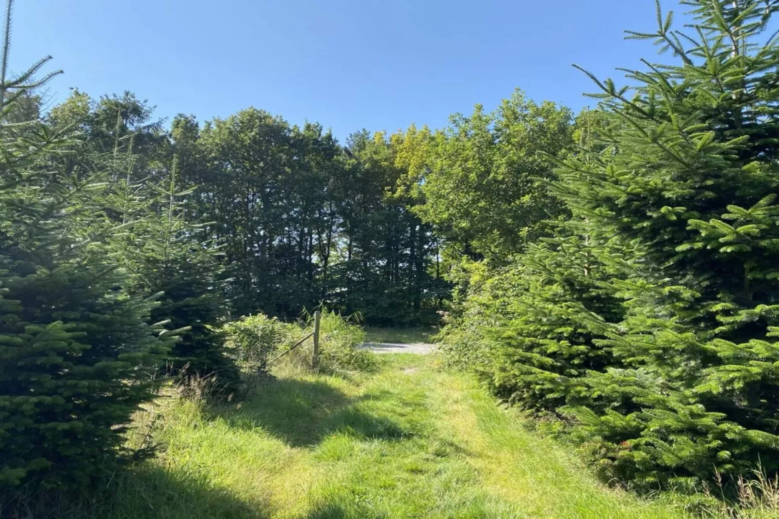 8 persoons vakantie huis in Hadsund-Niet-getagd