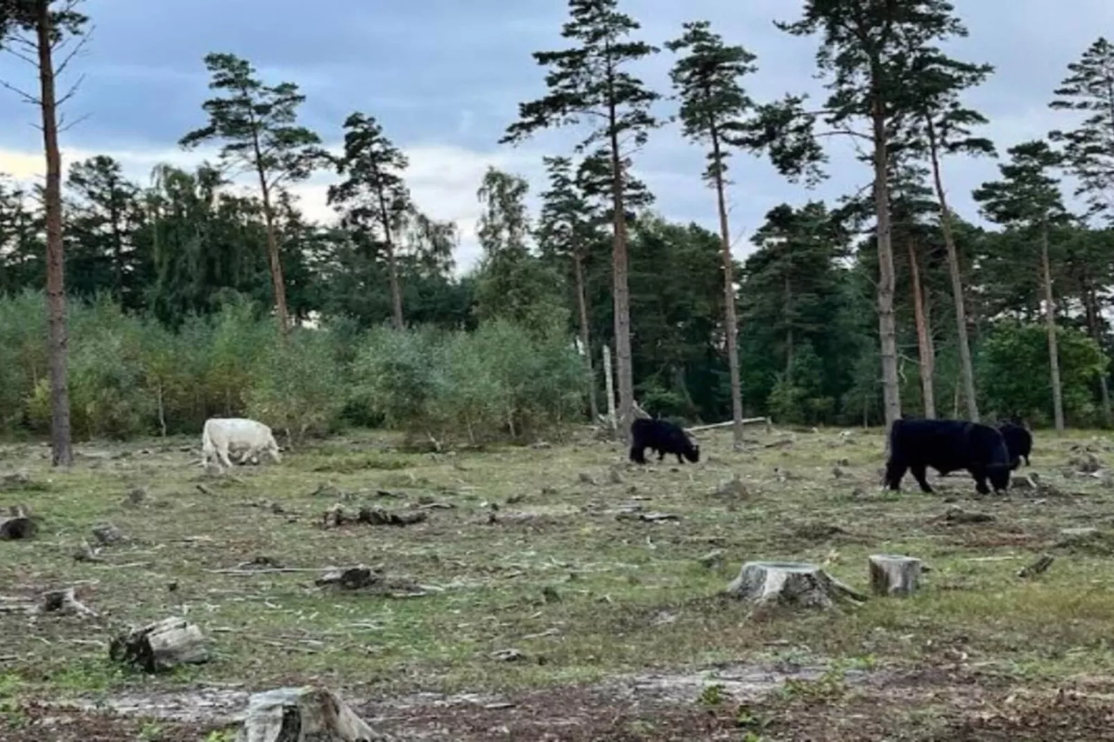 5 persoons vakantie huis in Millinge-Buitenlucht
