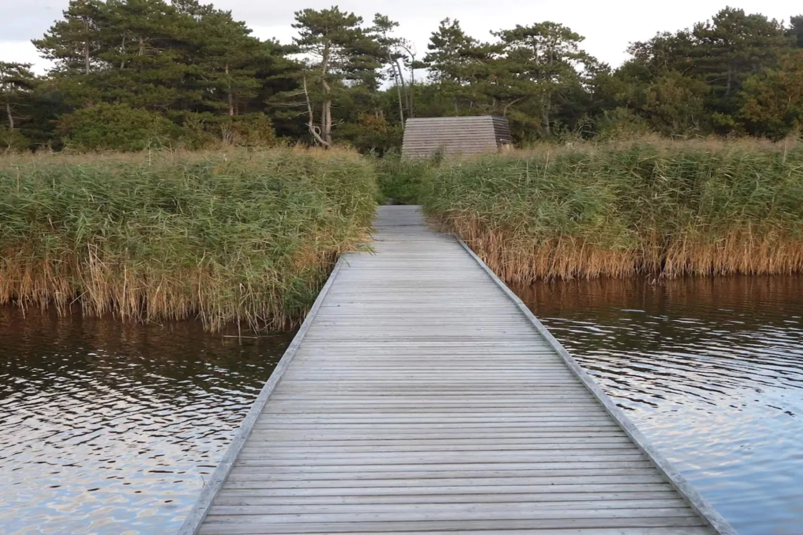 6 persoons vakantie huis in Vig-Waterzicht