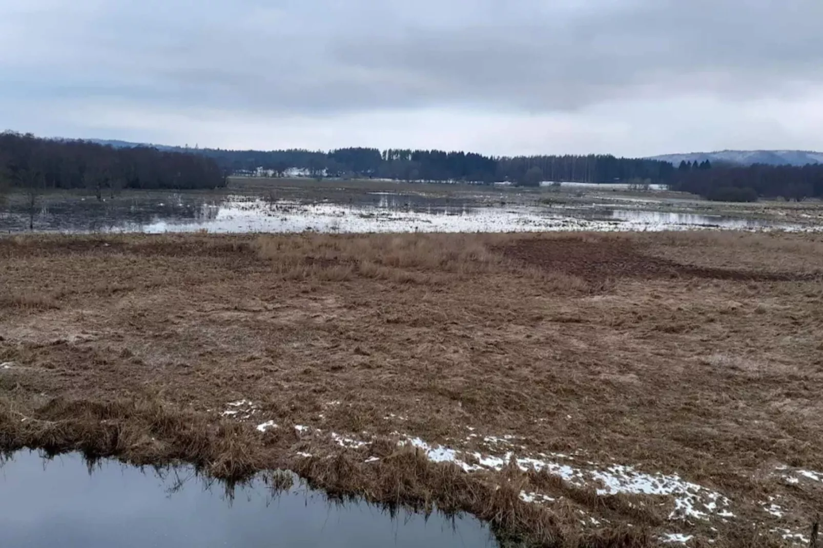 Vakantiehuis aan het meer met bos-Waterzicht