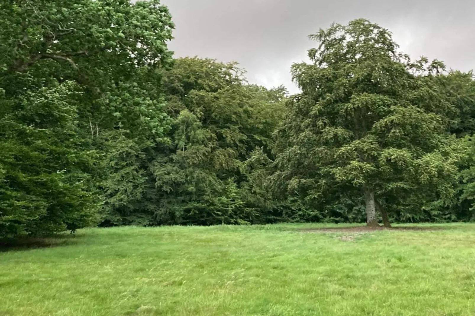 4 persoons vakantie huis in Faxe Ladeplads-Niet-getagd