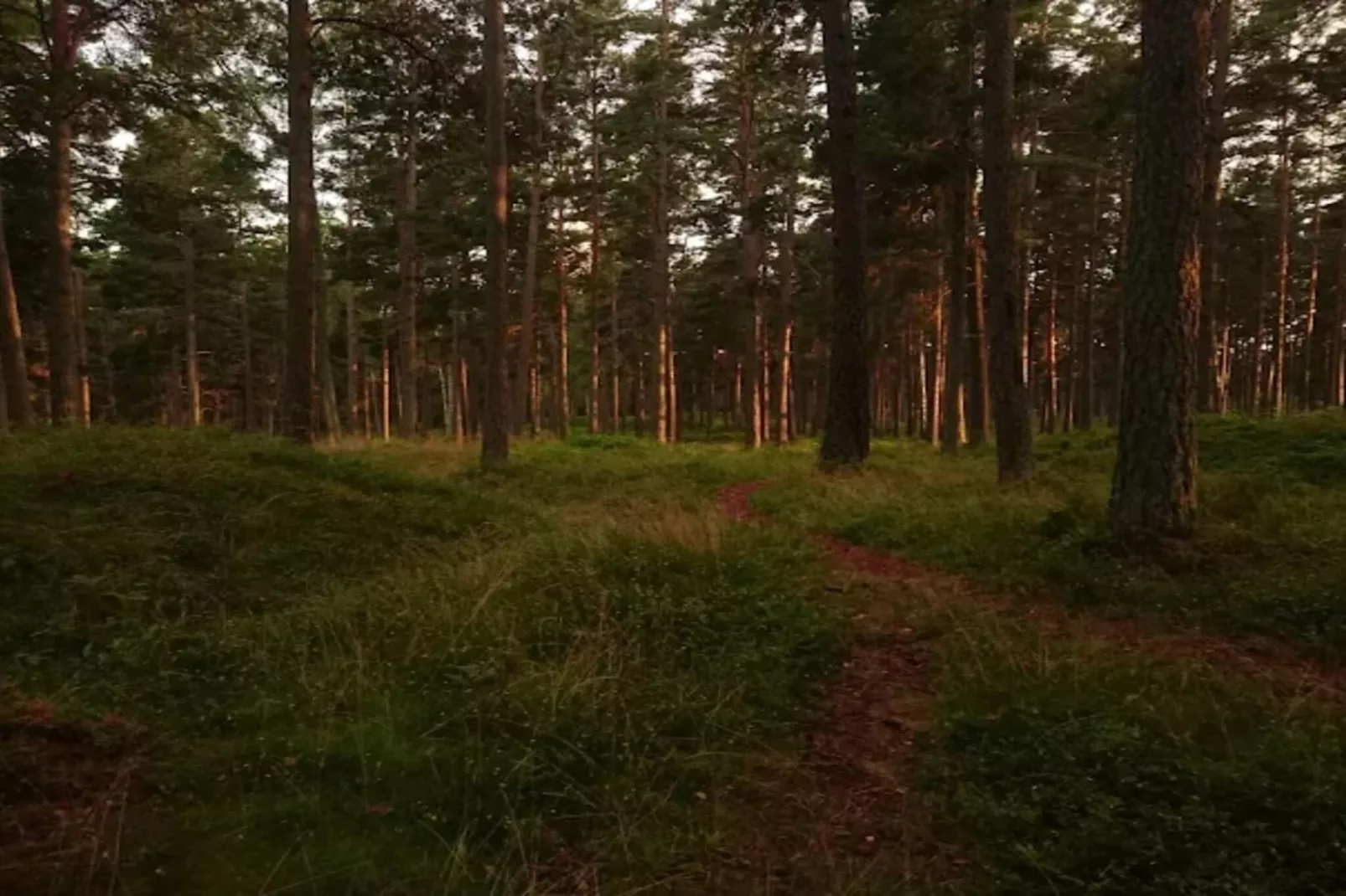 4 persoons vakantie huis in INGARÖ-By Traum-Niet-getagd