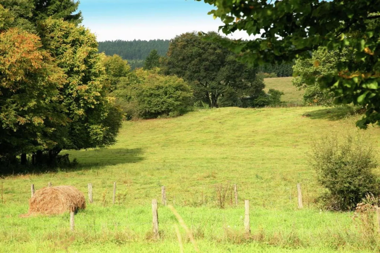 La Ferme de Foy 24-Gebieden zomer 5km