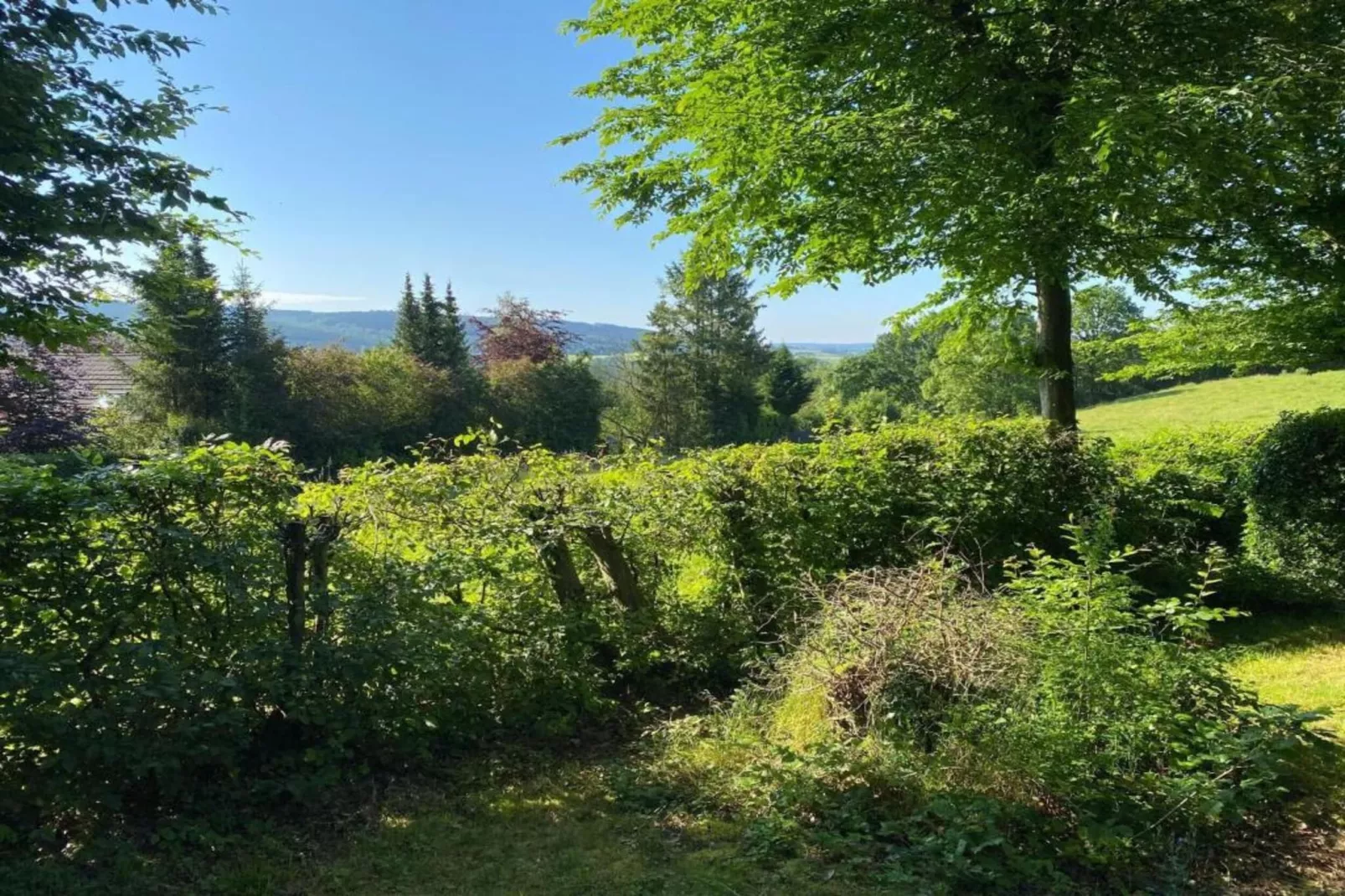 La Belle Reine-Gebieden zomer 20km