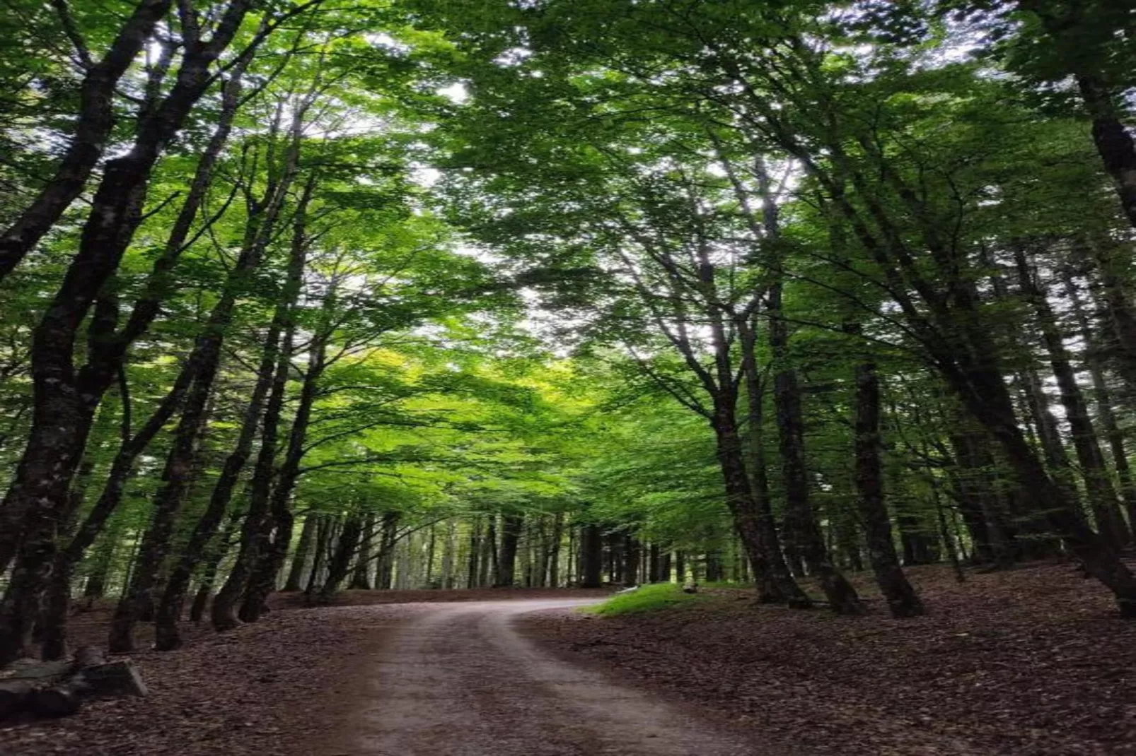 Le Paradis et Espace-Gebieden zomer 20km