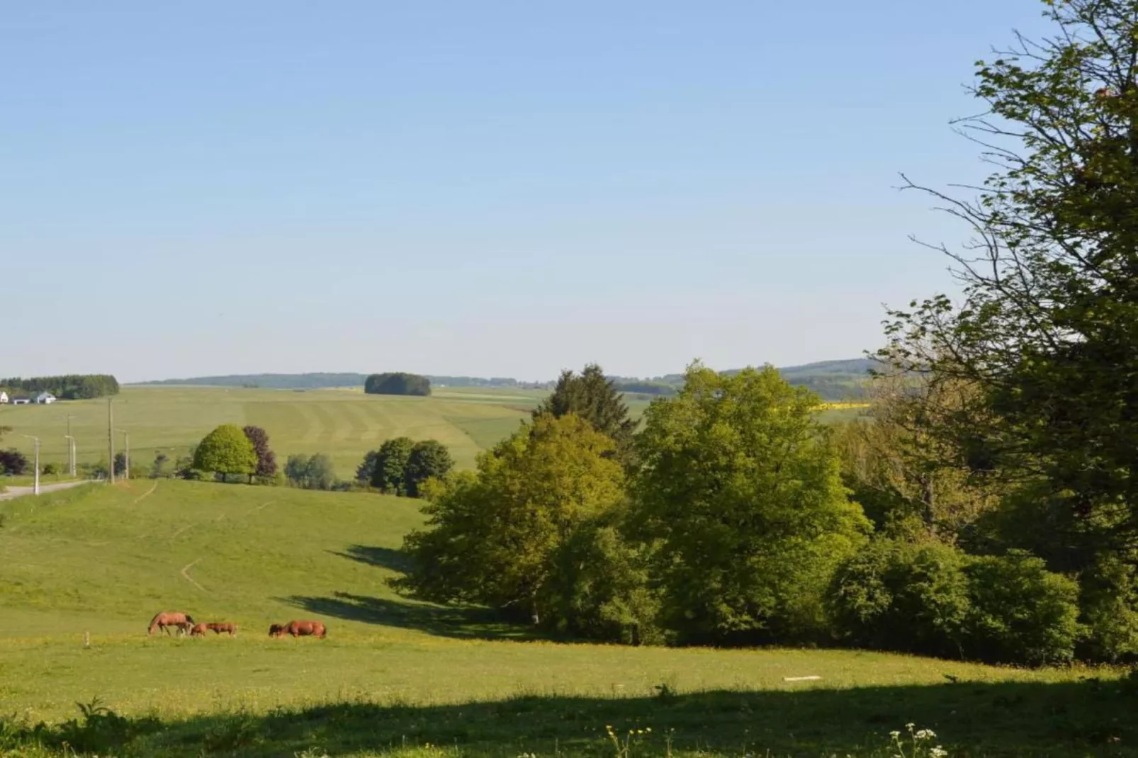 Al'Mezon-Gebieden zomer 20km
